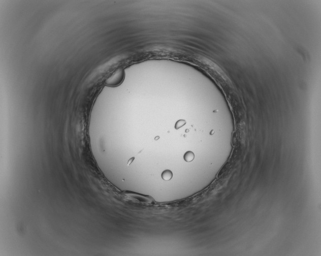 X0000114571111200911091210