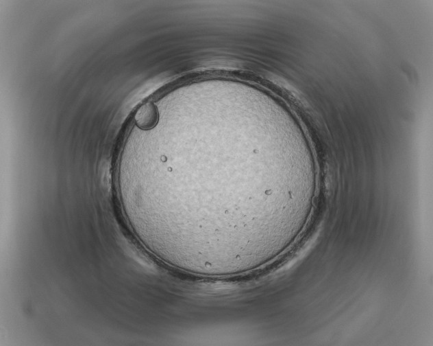 X0000114571113200911091210