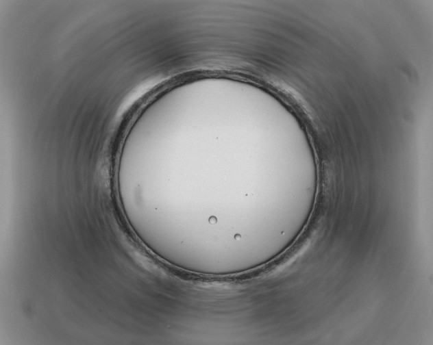 X0000114571114200911091210