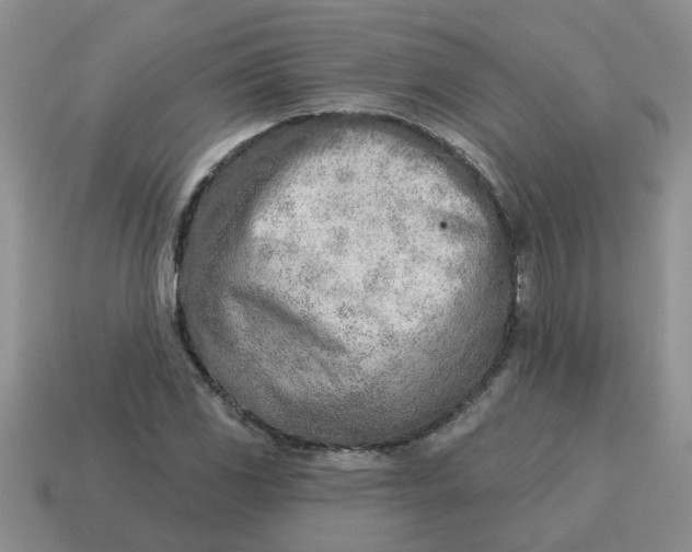 X0000114571117200911091210