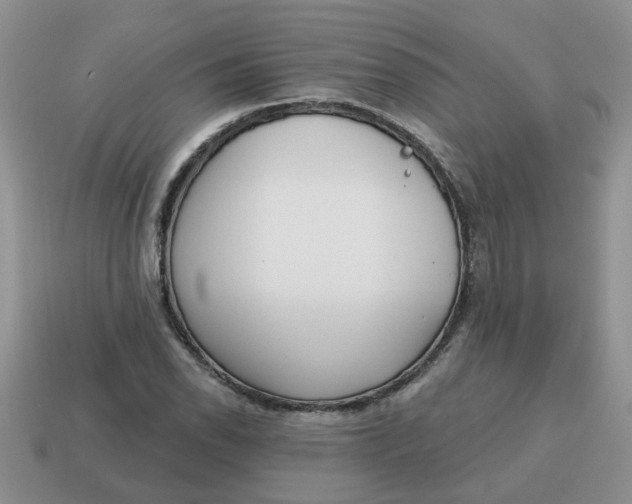 X0000114571118200911091210