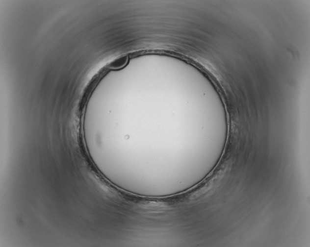 X0000114571119200911091210