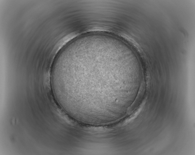 X0000114571121200911091210