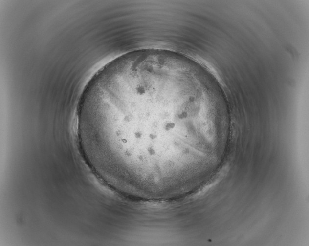 X0000114571125200911091210