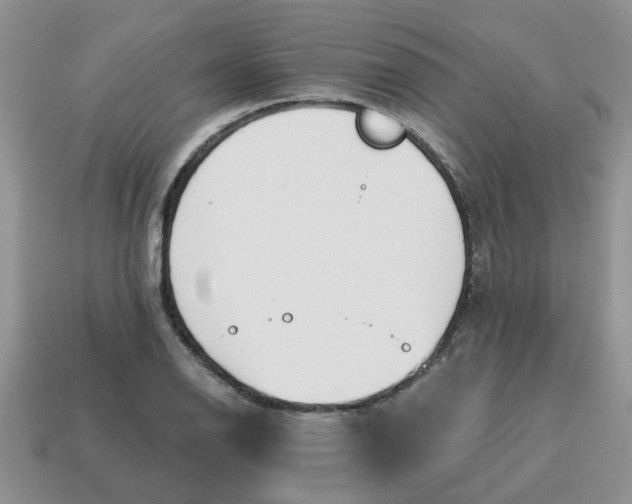 X0000114571126200911091210