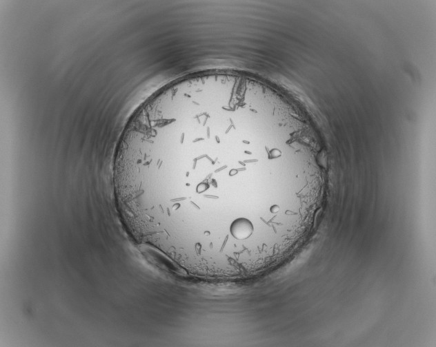 X0000114571129200911091210