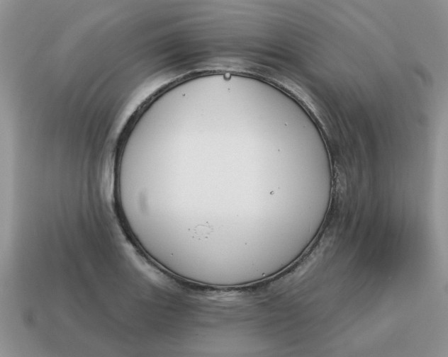 X0000114571131200911091210