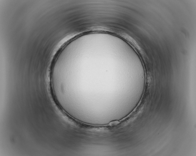 X0000114571133200911091210