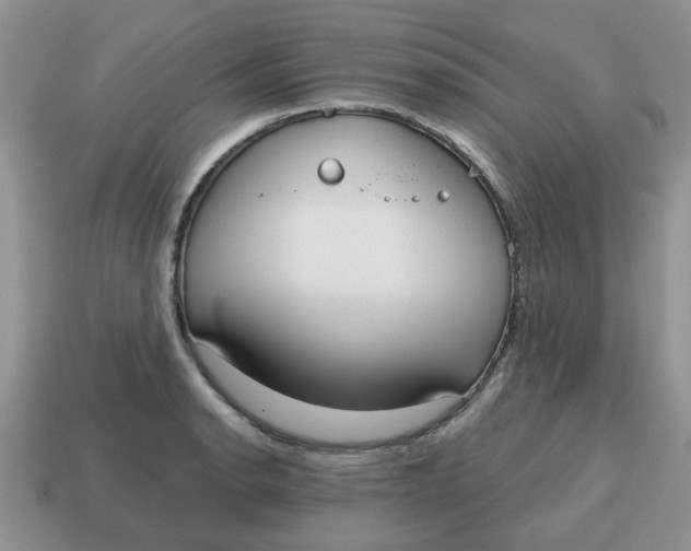 X0000114571134200911091210