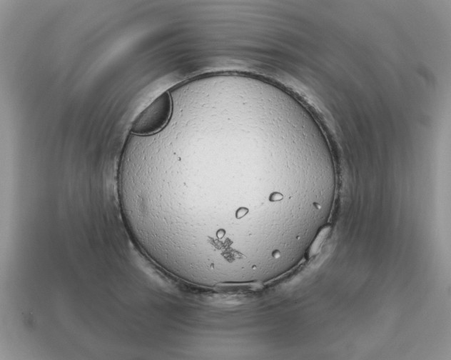 X0000114571137200911091210