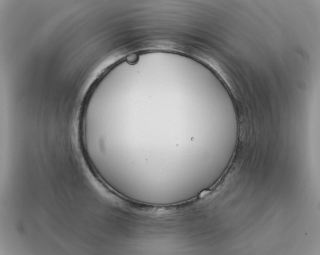 X0000114571139200911091210