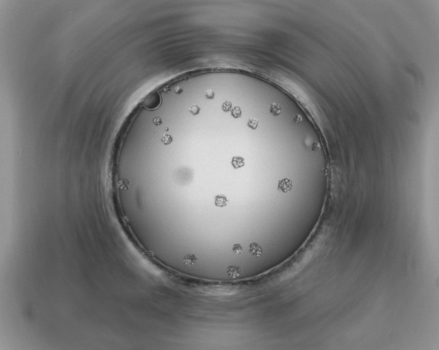 X0000114571141200911091210