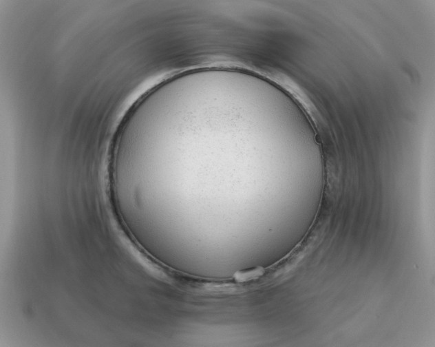 X0000114571142200911091210