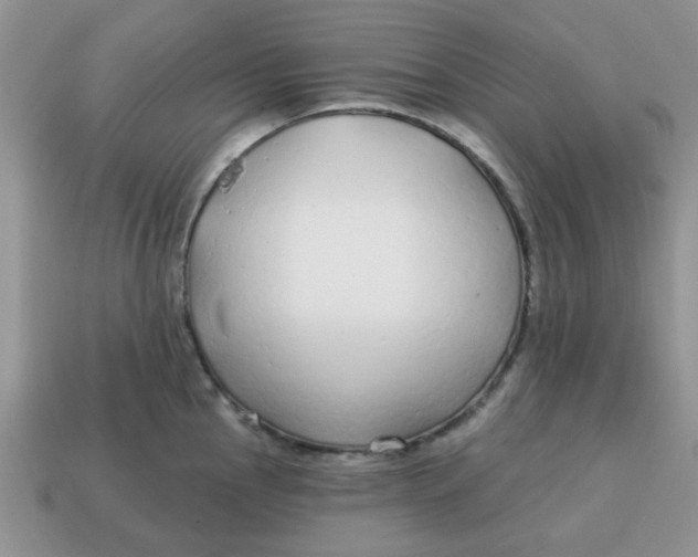 X0000114571145200911091210