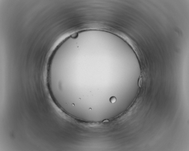 X0000114571147200911091210