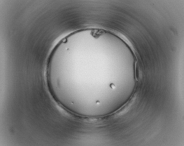 X0000114571149200911091210