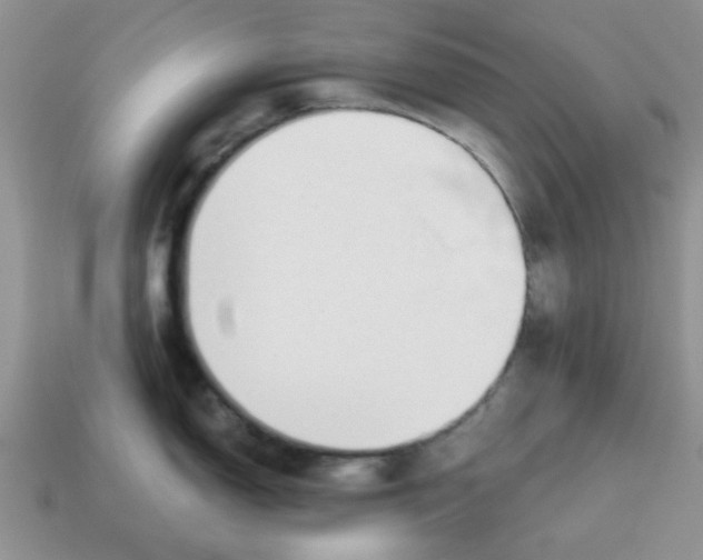 X0000114571150200911091210