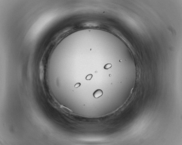 X0000114571151200911091210