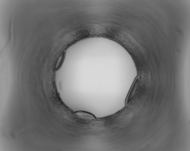 X0000114571153200911091210