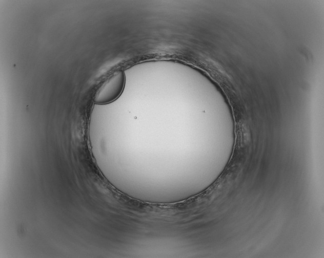 X0000114571158200911091210