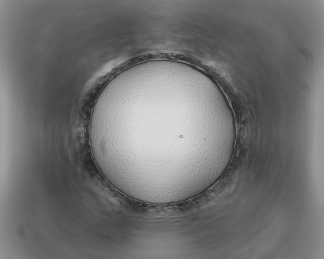 X0000114571159200911091210