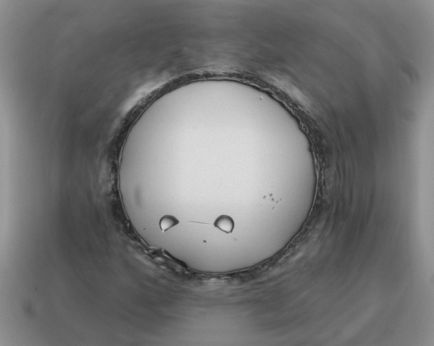 X0000114571160200911091210