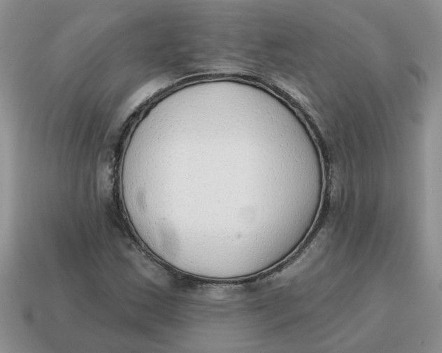 X0000114571163200911091210