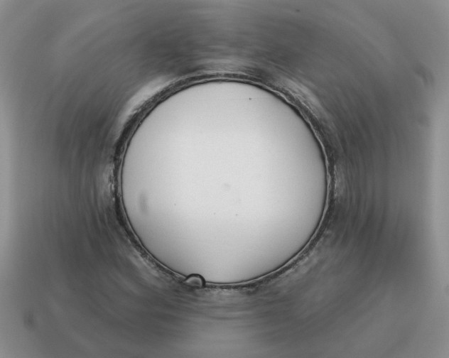 X0000114571164200911091210