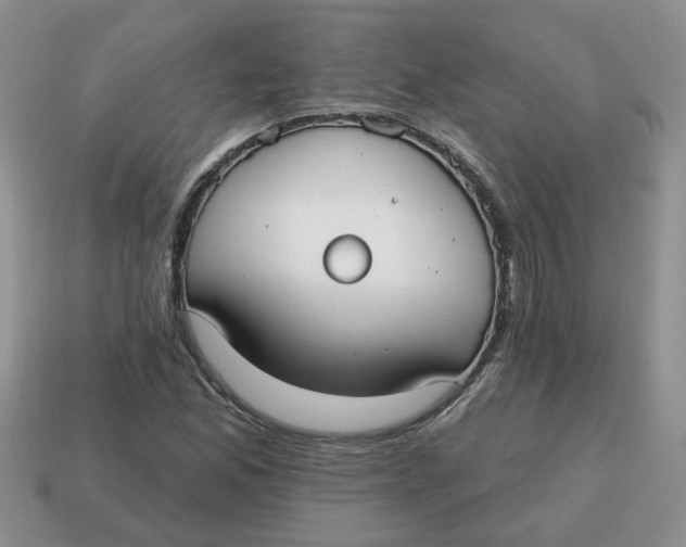 X0000114571165200911091210