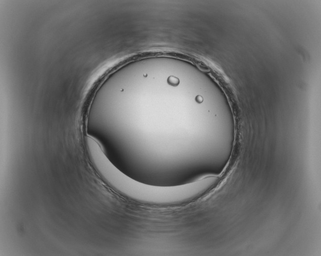 X0000114571167200911091210