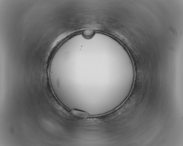 X0000114571168200911091210