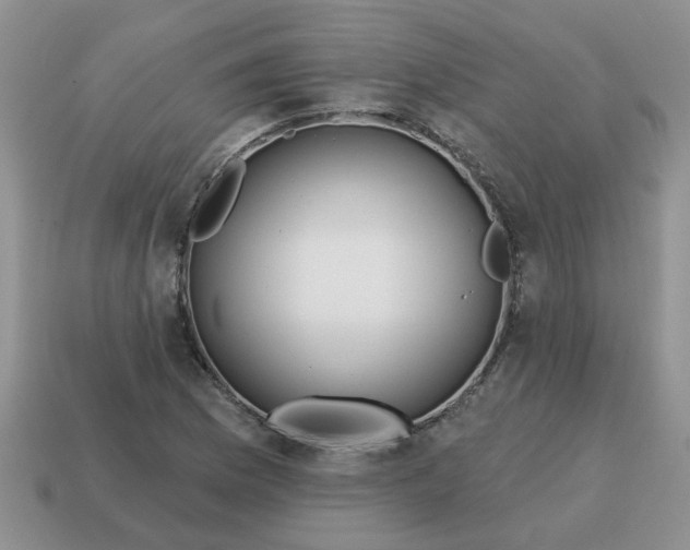 X0000114571169200911091209