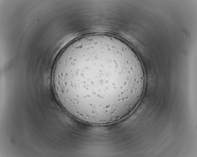 X0000114571170200911091209