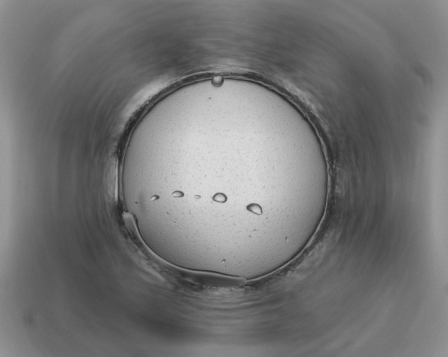 X0000114571171200911091209