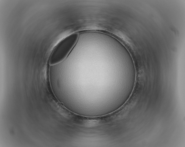 X0000114571173200911091209