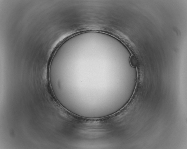 X0000114571174200911091209