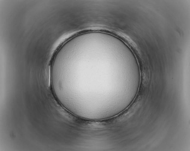 X0000114571175200911091209