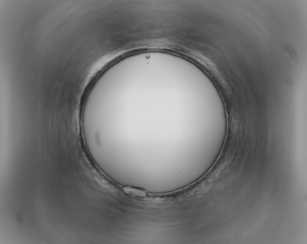 X0000114571176200911091209