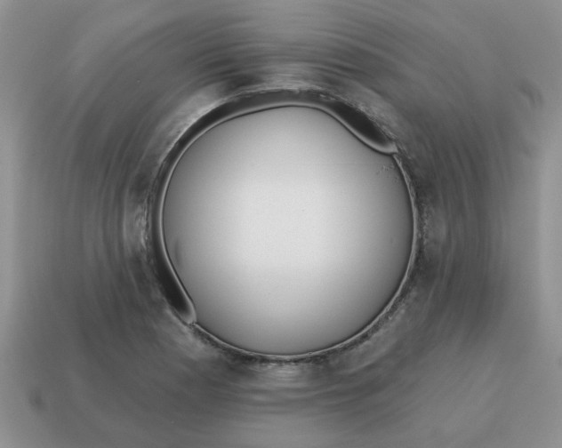 X0000114571177200911091209