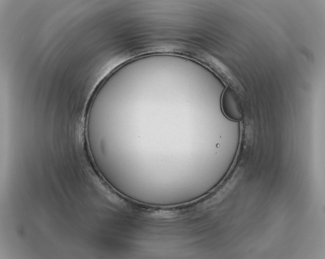 X0000114571178200911091209