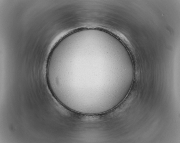 X0000114571183200911091209