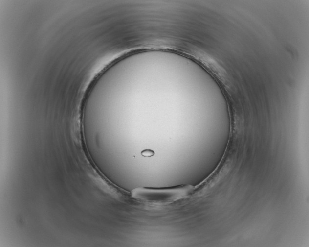 X0000114571184200911091209