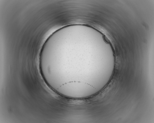 X0000114571187200911091209