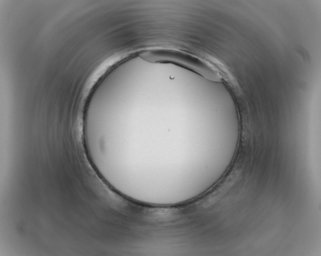 X0000114571188200911091209