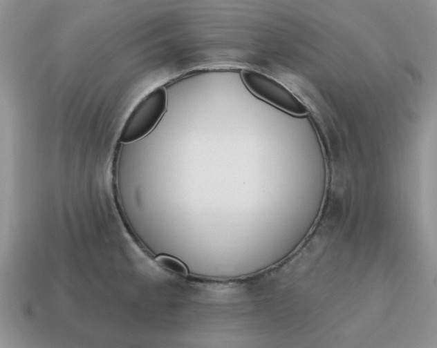 X0000114571189200911091209