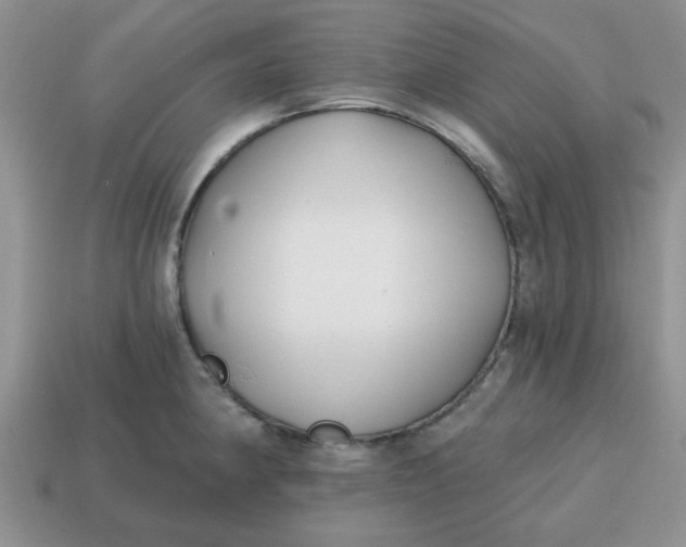 X0000114571190200911091209