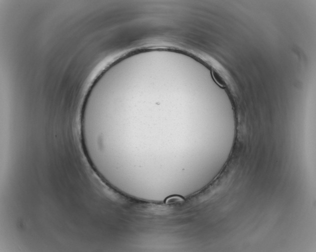 X0000114571191200911091209