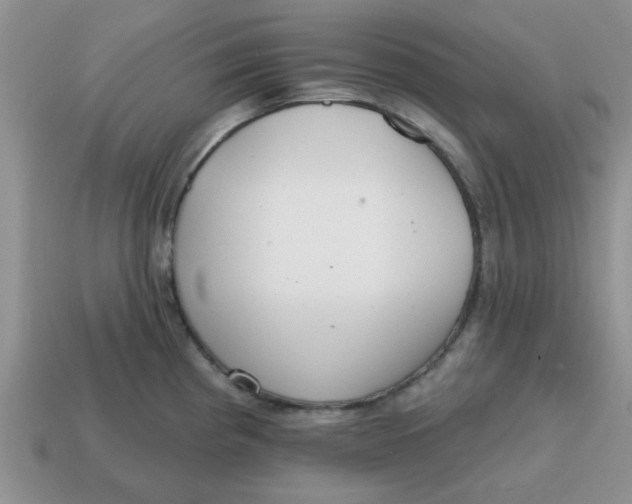 X0000114571193200911091209