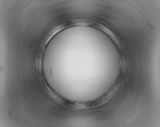 X0000114571194200911091209