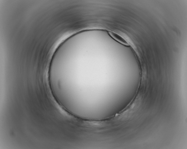 X0000114571197200911091209